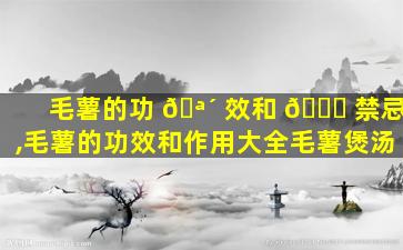 毛薯的功 🪴 效和 🐕 禁忌,毛薯的功效和作用大全毛薯煲汤